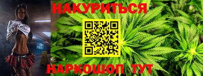 гидра Краснознаменск