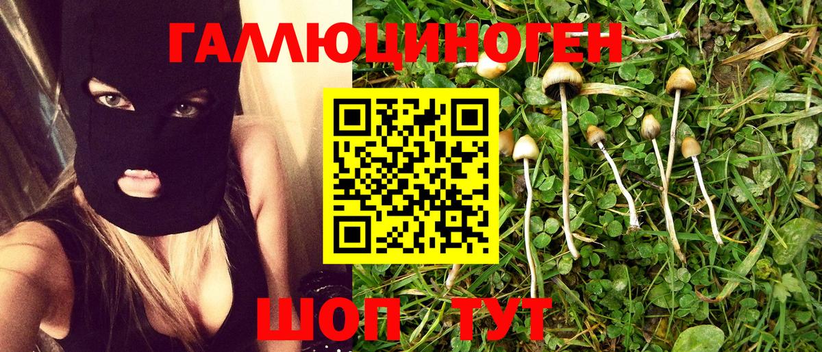 Галлюциногенные грибы прущие грибы  Вход с VPN  Усть-Илимск 